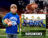brantley sosinsky 2562 memory mate