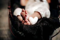 Newborn