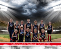 10U Softball